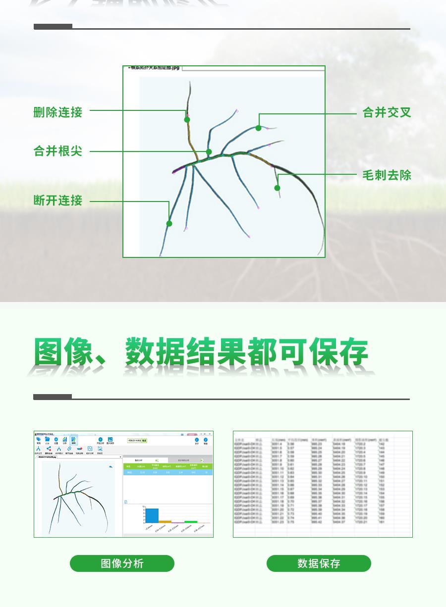 植物根系分析儀